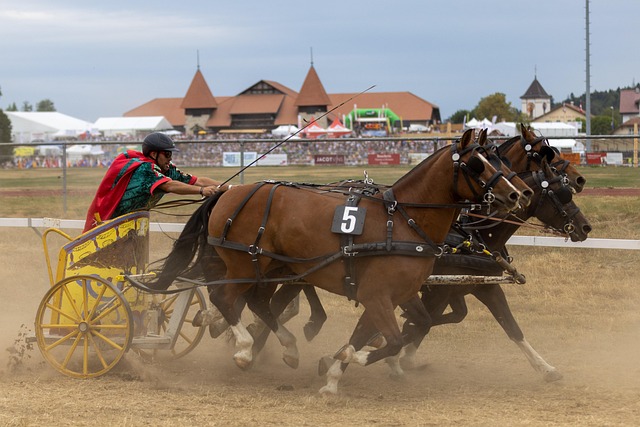 战术发展迅 战术发展迅